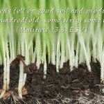 “Other seeds fell on good soil and produced grain, some a hundredfold, some sixty, some thirty.” (Matthew 13:8, ESV)