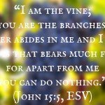 “I am the vine; you are the branches. Whoever abides in me and I in him, he it is that bears much fruit, for apart from me you can do nothing.” (John 15:5, ESV)