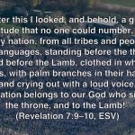 “After this I looked, and behold, a great multitude that no one could number, from every nation, from all tribes and peoples and languages, standing before the throne and before the Lamb, clothed in white robes, with palm branches in their hands, and crying out with a loud voice, “Salvation belongs to our God who sits on the throne, and to the Lamb!” (Revelation 7:9–10, ESV)