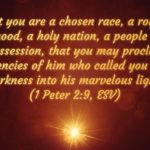 But you are a chosen race, a royal priesthood, a holy nation, a people for his own possession, that you may proclaim the excellencies of him who called you out of darkness into his marvelous light. (1 Peter 2:9, ESV)But you are a chosen race, a royal priesthood, a holy nation, a people for his own possession, that you may proclaim the excellencies of him who called you out of darkness into his marvelous light. (1 Peter 2:9, ESV)