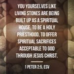 You yourselves like living stones are being built up as a spiritual house, to be a holy priesthood, to offer spiritual sacrifices acceptable to God through Jesus Christ. (1 Peter 2:5, ESV)